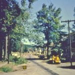 Same view as previous photo during tree removal. 22