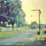 A view looking north on North Main Street after trees were removed. 25