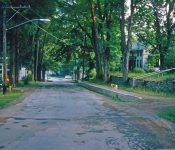 Looking south on Main Street standing by the creek next to O'Connor property. M-12