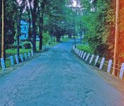 Entering the Village from Quaker Street looking north toward East and West Shore Rd.