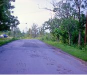 Looking up (west) Fairview Ave. (currently Alexander Rd.) M-5